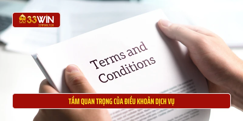 Tầm quan trọng then chốt của điều khoản dịch vụ